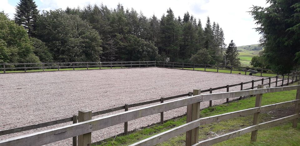 Carpet Gallop Equestrian Surfaces